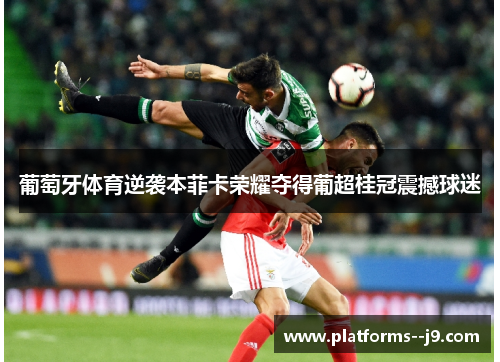 葡萄牙体育逆袭本菲卡荣耀夺得葡超桂冠震撼球迷 葡萄牙体育逆袭本菲卡荣耀夺得葡超桂冠震撼球迷